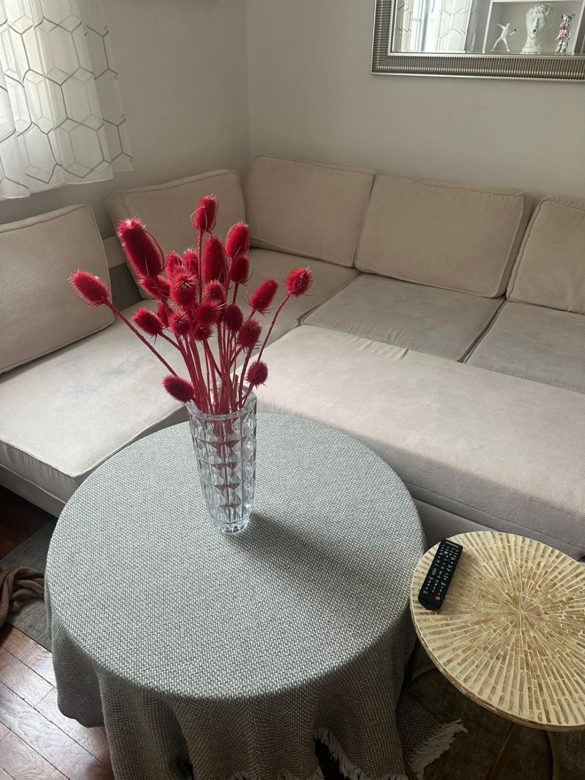Modernite Et Elegance - Cosy *